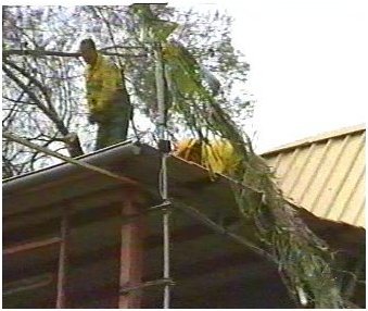 EMERGENCIAS (7)  IMAGENES FOTOS